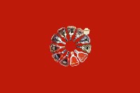 泌阳县回收红酒
